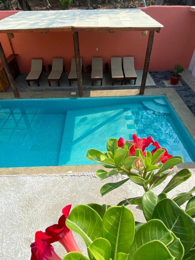 Casa Suites Minizoo Puerto Escondido  Zewnętrze zdjęcie